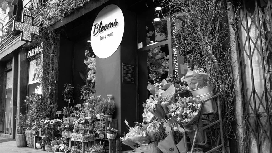Curating Bloomchic Apparel: Cuts, Collections, and Comfort