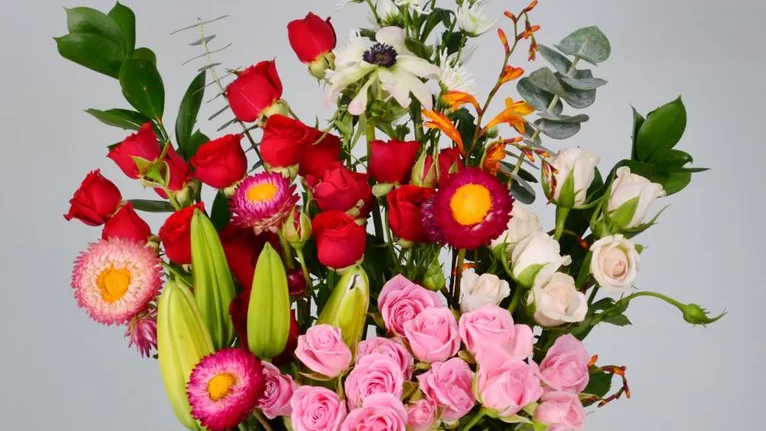 Bloomchic dress collection display edito
