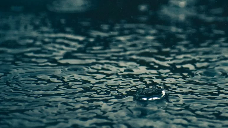Waterdrop Water Purifiers: Choosing the Right Setup